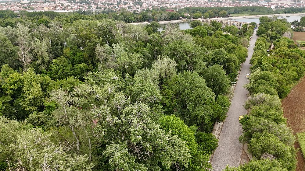 Edirne Millet Bahçesi'ne kavuşuyor