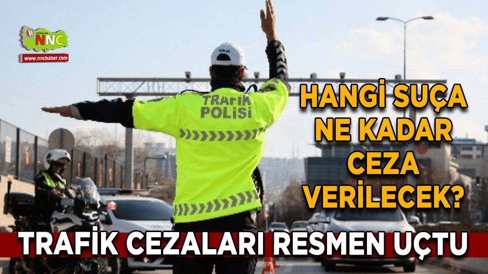 Fiyatlar rekora koşuyor Plakasız araç 140 bin TL, alkol 150 bin TL! Resmen uçtu