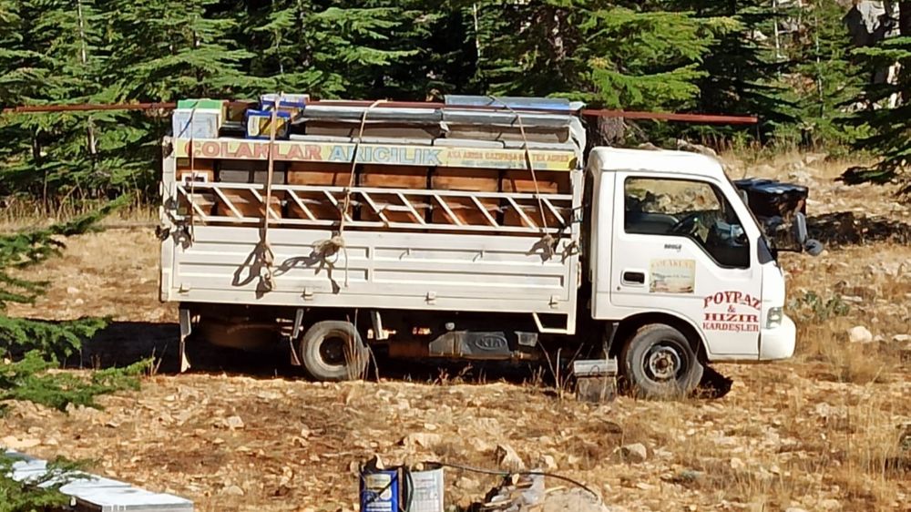 Gazipaşa’da arıcıların yayla mesaisi başlıyor