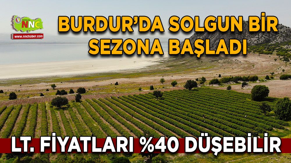 Gül hasadında şok düşüş! Burdur’da gül üreticileri iklim krizinin pençesinde