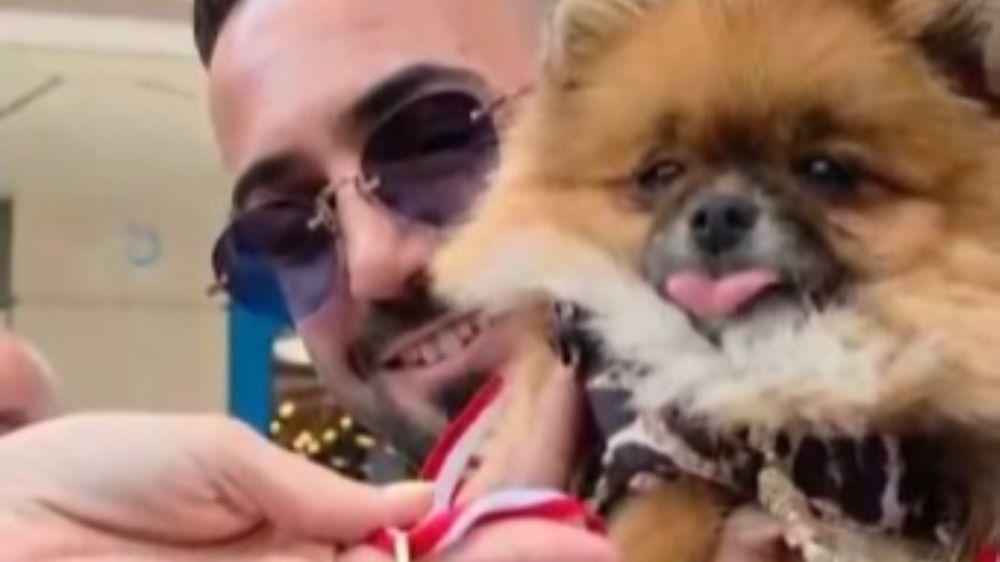  Güzellik yarışmasında birinci seçilen köpek bir hafta sonra ortadan kayboldu