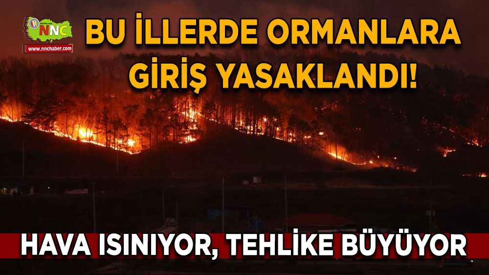 Hava ısınıyor, tehlike büyüyor Bu illerde ormanlara giriş yasaklandı!