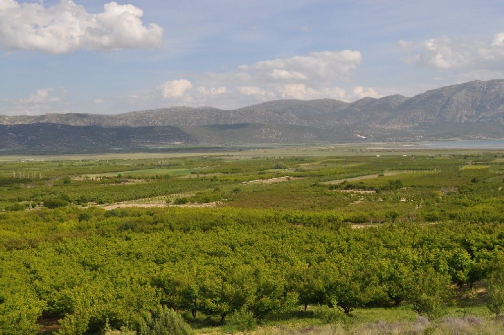 Isparta'da don kayısı üreticilerini zarara uğrattı
