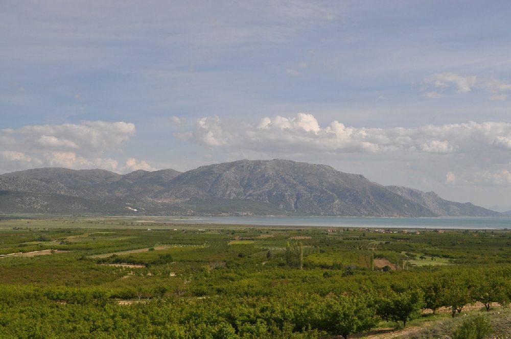 Isparta'da don kayısı üreticilerini zarara uğrattı