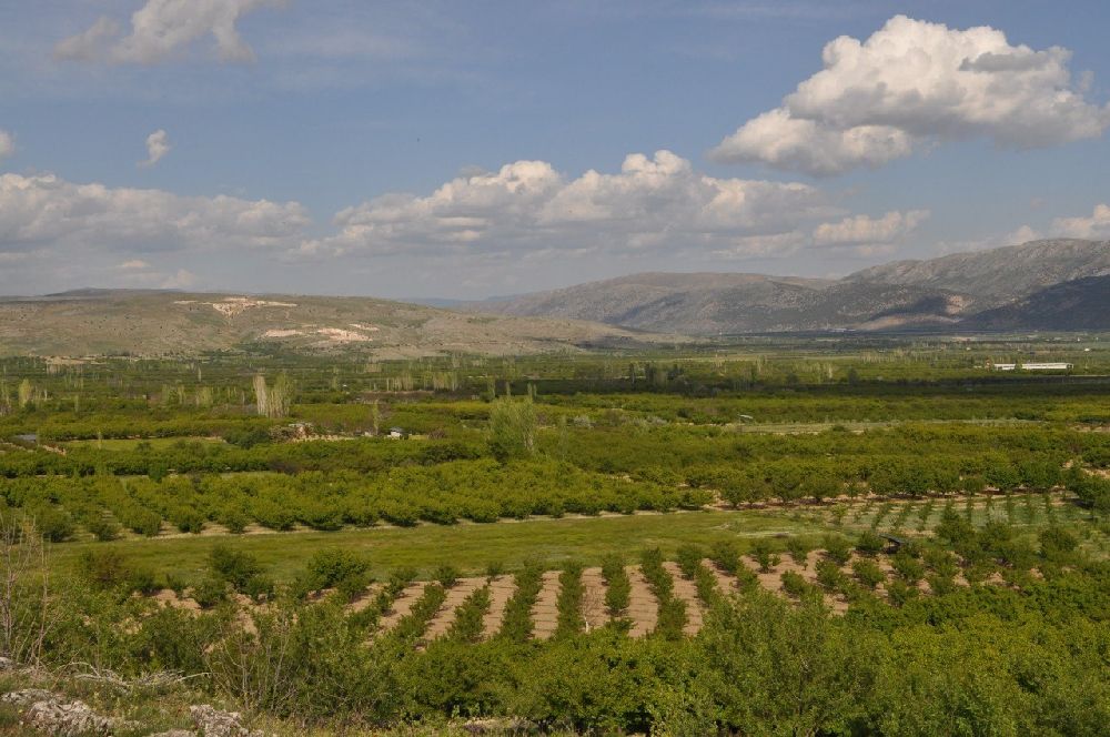 Isparta'da don kayısı üreticilerini zarara uğrattı