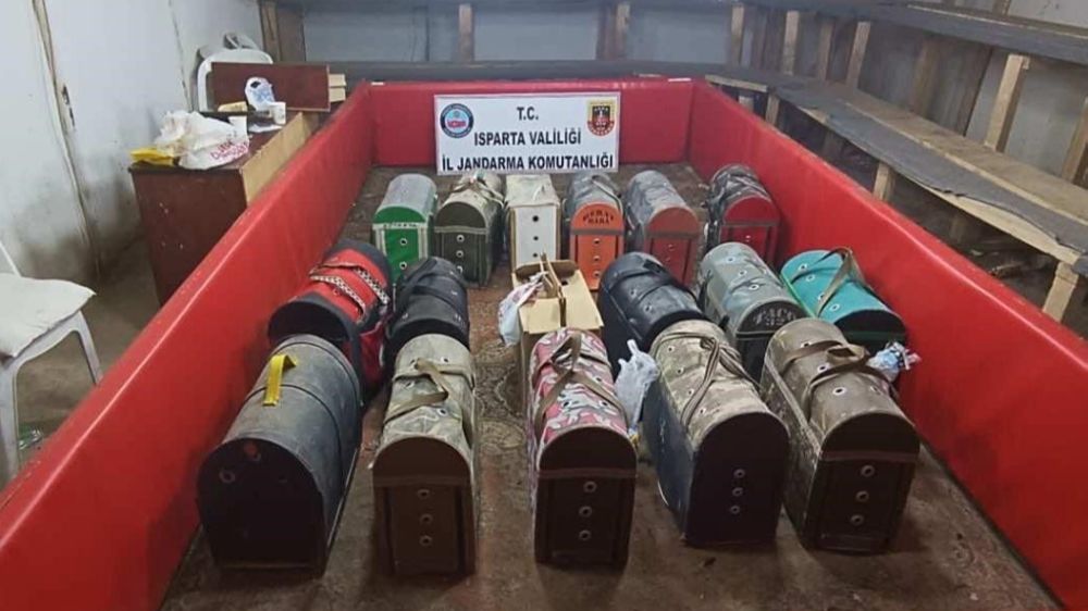 Isparta’da horoz dövüşüne jandarma baskını