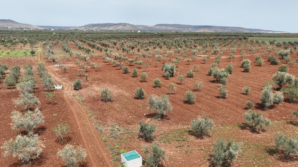 Kilis'te atık sular can suyuna dönüşüyor