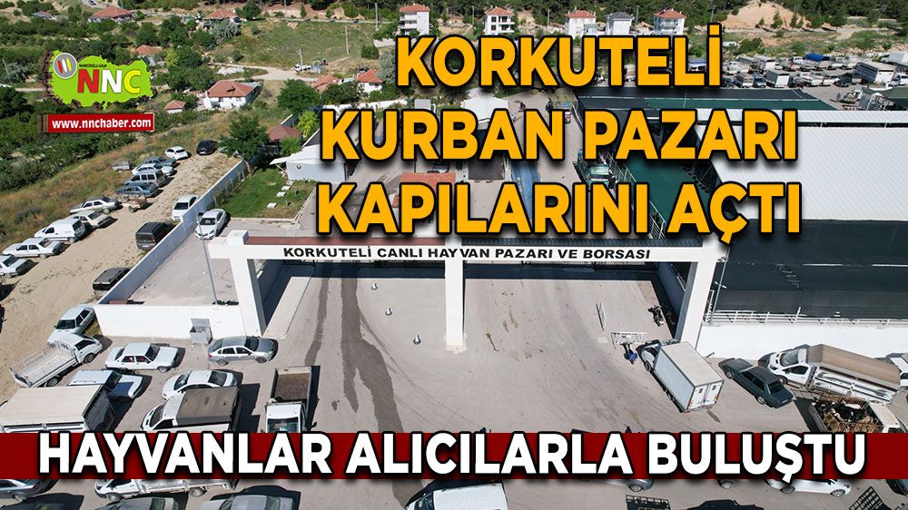 Korkuteli kurban pazarı kapılarını açtı Hayvanlar alıcılar buluştu
