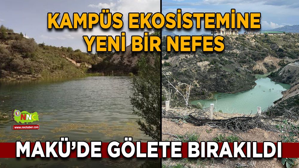 MAKÜ’de ekolojik denge için 1000 balık gölete bırakıldı