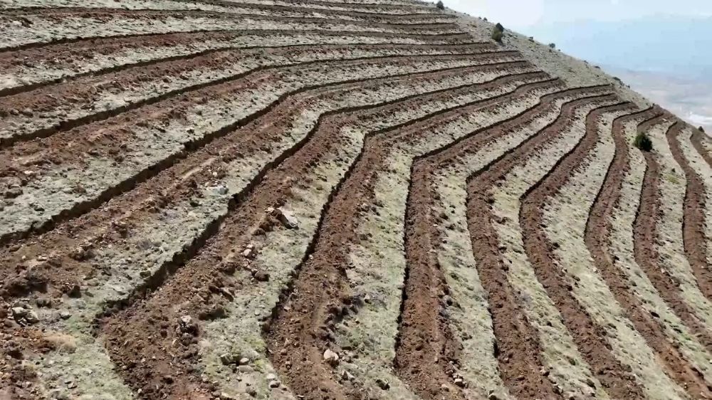 Niğde'nin Himmetli Köyü'nde 100 hektarlık alanda ağaçlandırma yapılacak