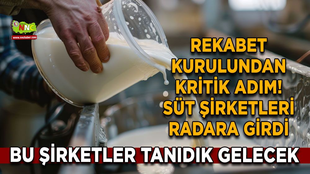Rekabet Kurulundan kritik adım! Süt şirketleri radara girdi Ünlü markalar da listede