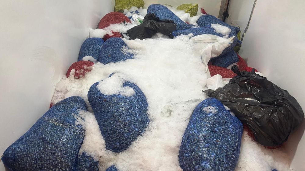 Samsun'da 3,8 ton kaçak avlanmış midye ele geçirildi