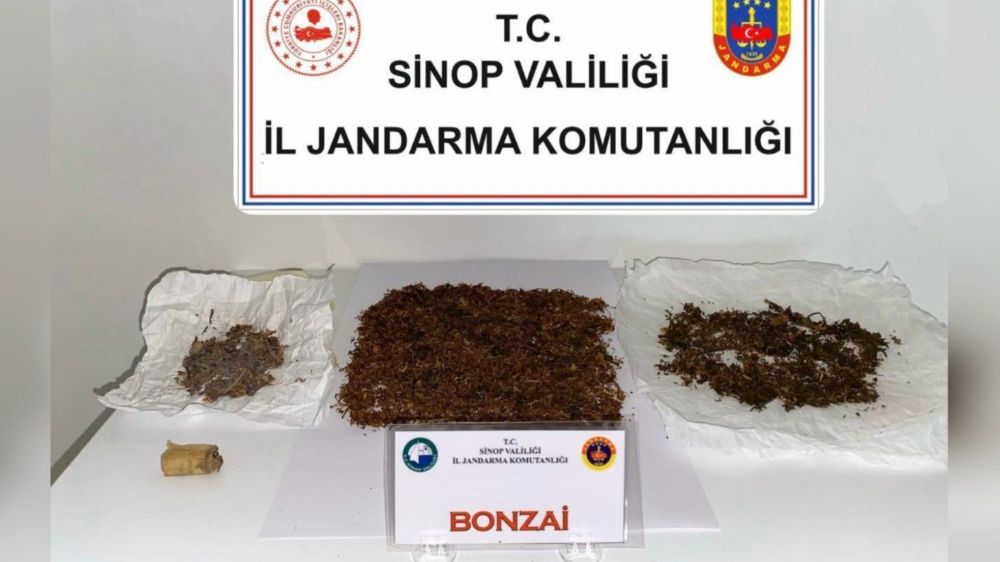  Sinop'ta zehir operasyonu