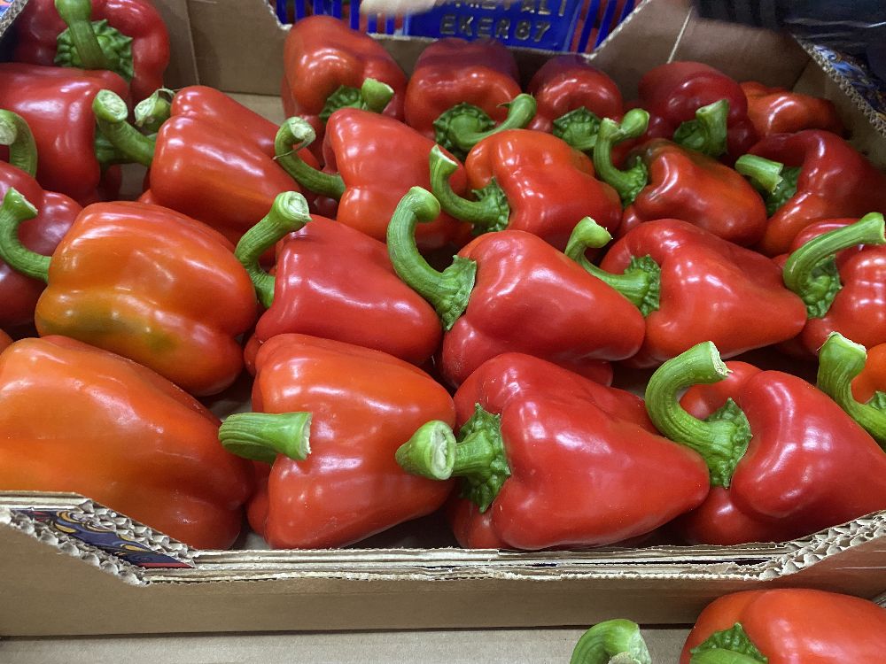 Tarım Antalya'yı ihracatta sırtladı: Yaş meyve sebzede yüzde 17,7 artış