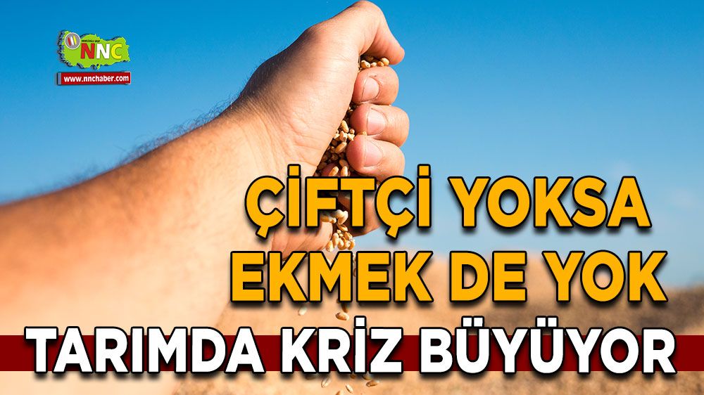 Tarımda kriz büyüyor Çiftçi yoksa ekmek de yok