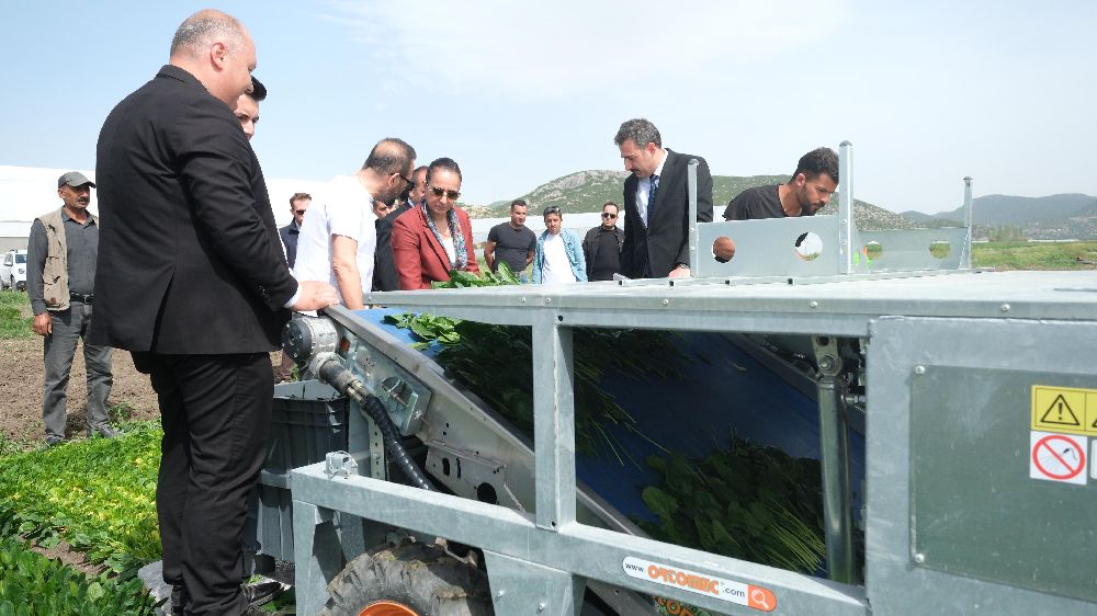 Vali Tülay Baydar Bilgihan’dan Gölhisar’a çıkartma! Ekonomiden eğitime incelemeler