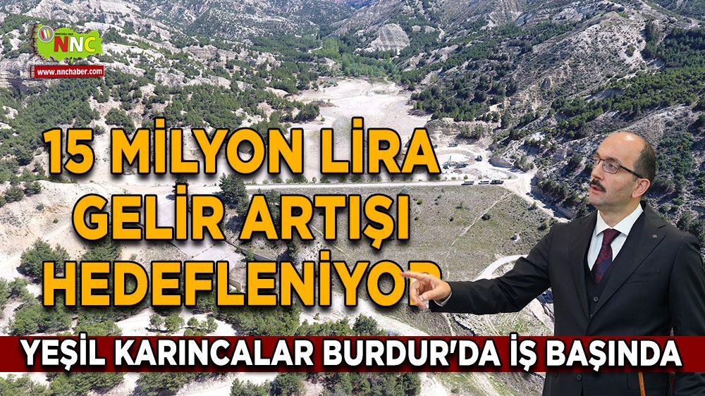 Yeşil karıncalar Burdur'da iş başında 15 milyon lira gelir artışı hedefleniyor