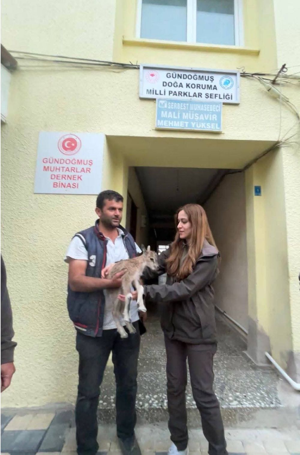 Yolda bulduğu yaban keçisi yavrusunu Doğa Koruma ve Milli Parklara teslim etti