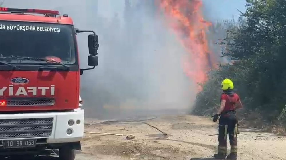  40 dereceyi aşan sıcaklık ve rüzgarın etkisiyle yangın kısa sürede büyüdü