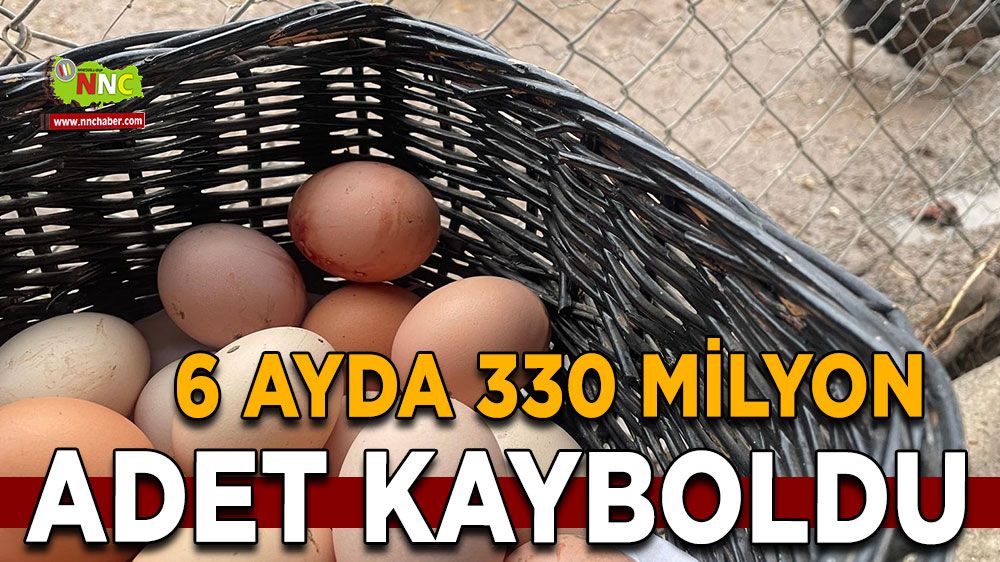 6 ayda 330 milyon adet kayboldu