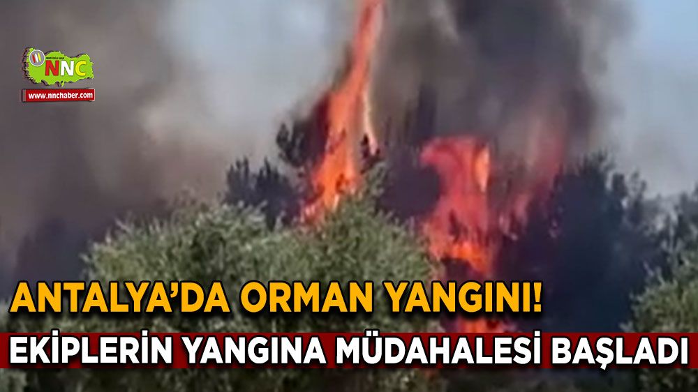 Aksu'da orman yangını! Ekipler müdahaleye başladı