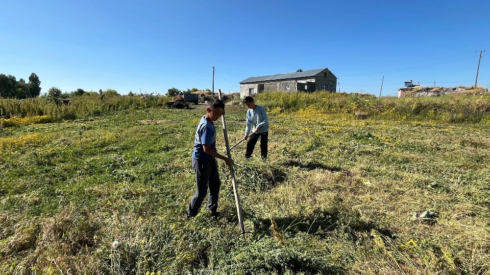 Akyaka’da ot biçimi başladı
