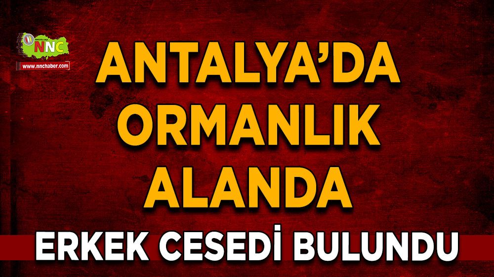 Alanya’da ormanlık alanda erkek cesedi bulundu