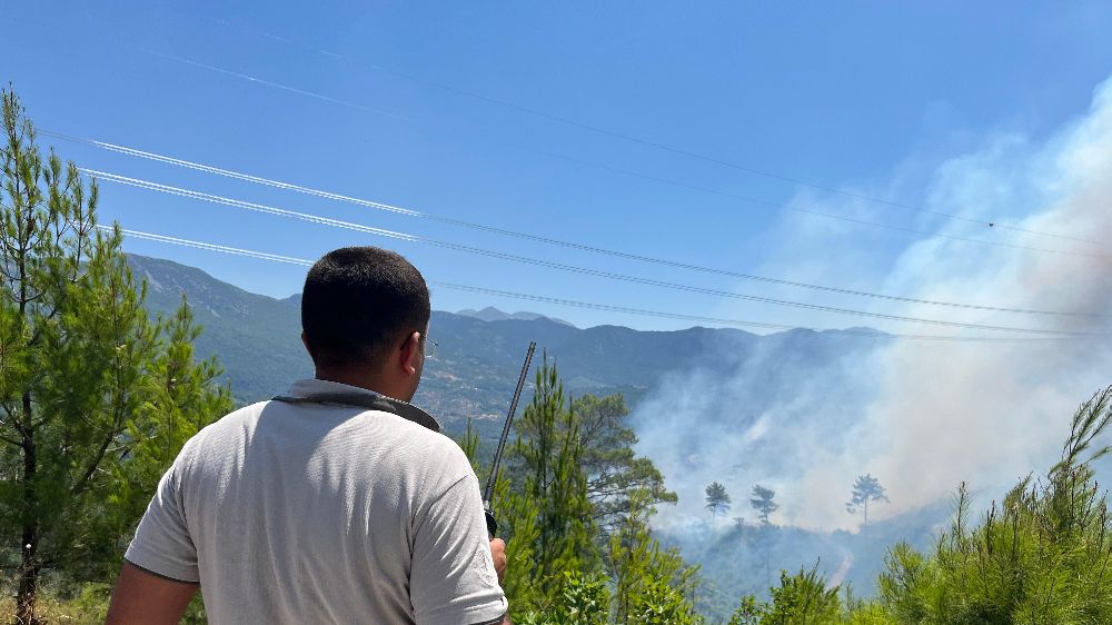 Alanya'daki yangınını kontrol altına alınması çalışmaları devam ediyor