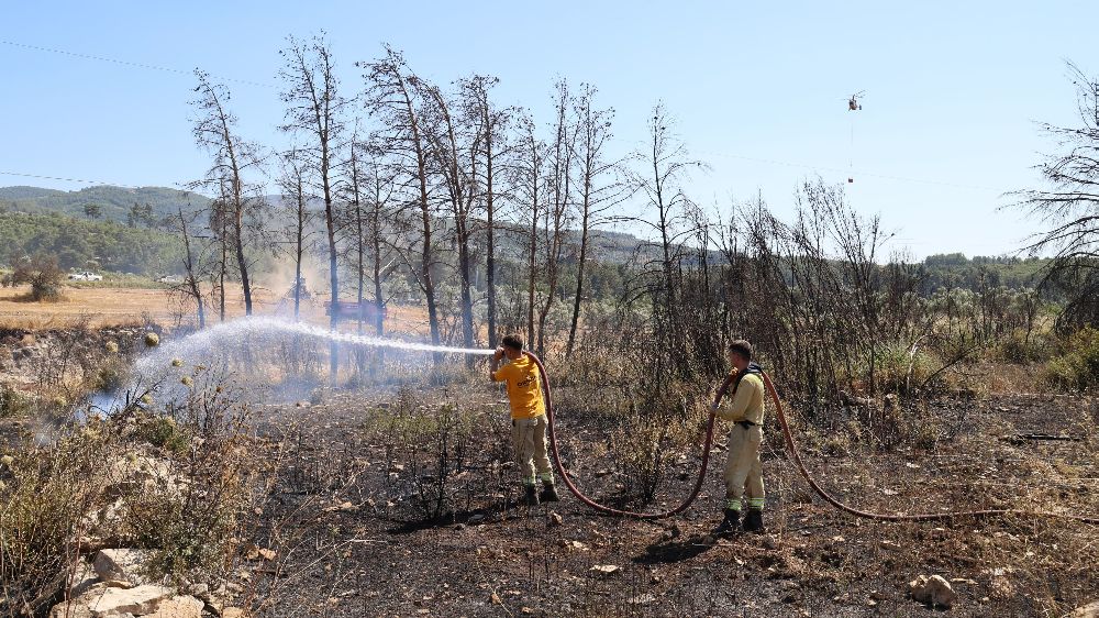 Alevler ormana sıçramadan söndürüldü
