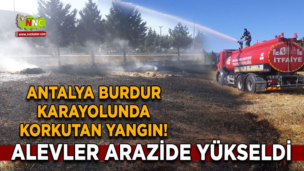 Antalya Burdur karayolunda korkutan yangın! Alevler arazide yükseldi