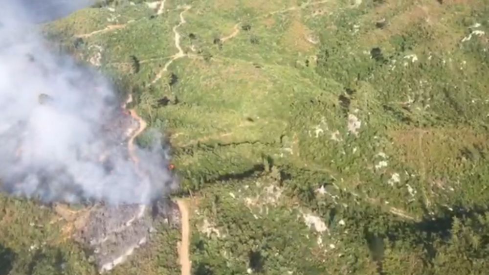 Antalya'da 2 ilçede orman yangını