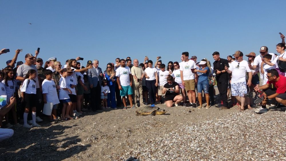 Antalya'da deniz kaplumbağaları çip takılarak denize uğurlandı