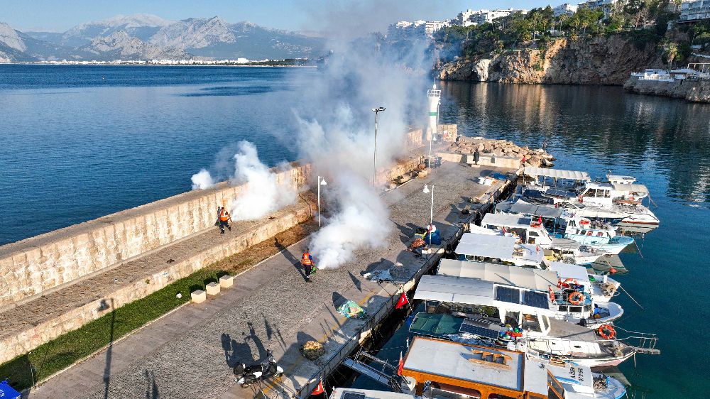 Antalya'da denizden ve karadan haşerelerle mücadele başlatıldı