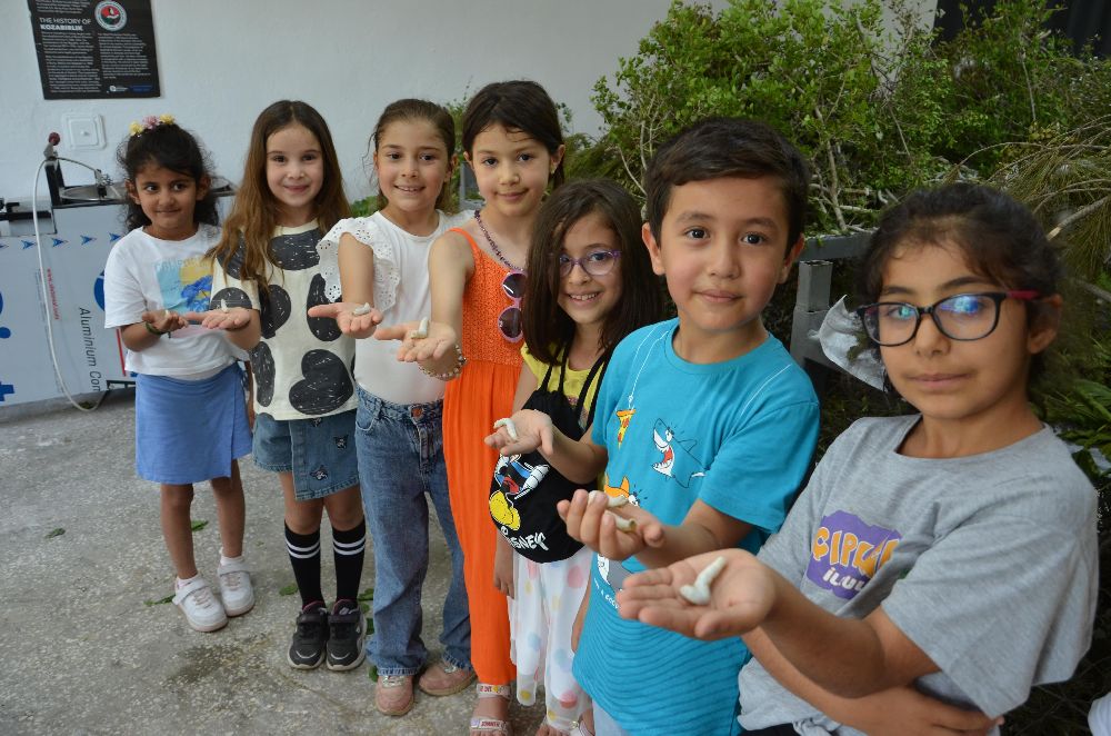Antalya'da kaybolan meslekler arasında yer alan ipekböcekçiliği geri dönüyor