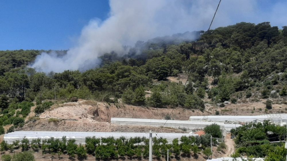 Antalya'da orman yangını