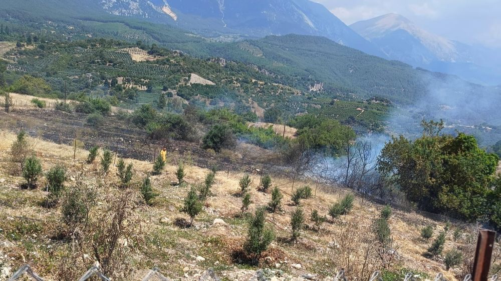  Antalya'da ormanı tehdit eden yangın kontrol altına alındı
