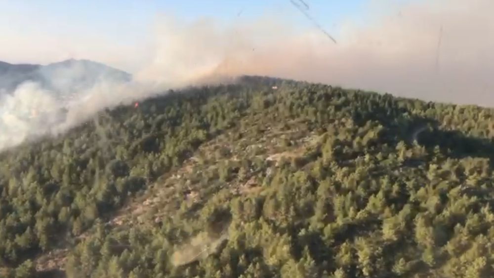 Antalya Gazipaşa'da orman yangını