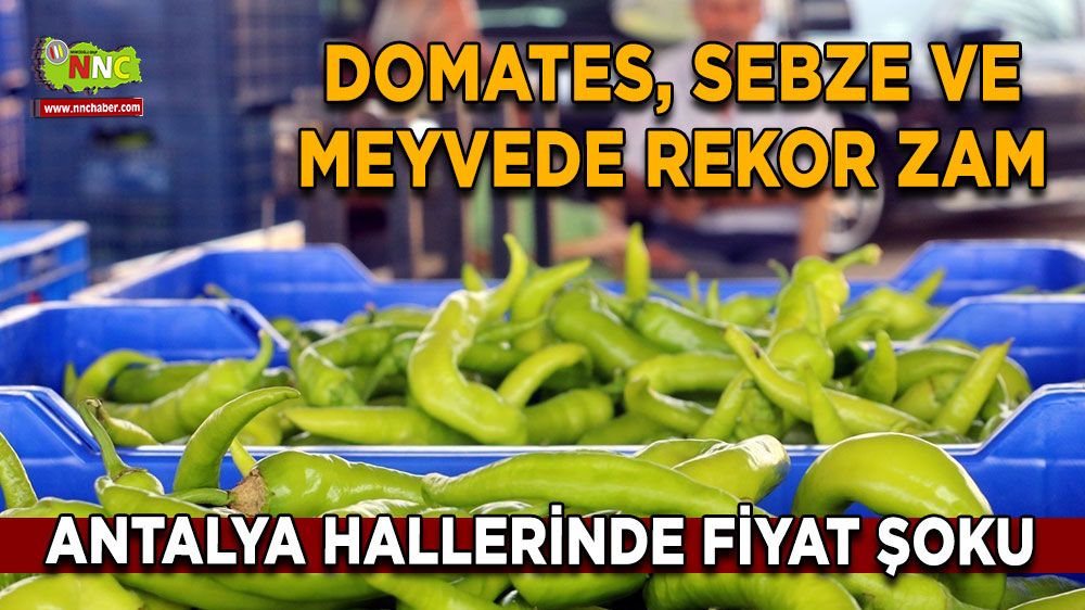 Antalya hallerinde fiyat şoku Domates, sebze ve meyvede rekor zam
