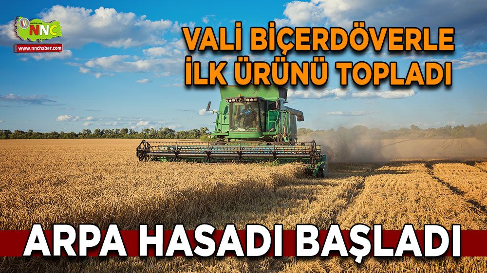 Arpa hasadı başladı Vali biçerdöverle ilk ürünü topladı
