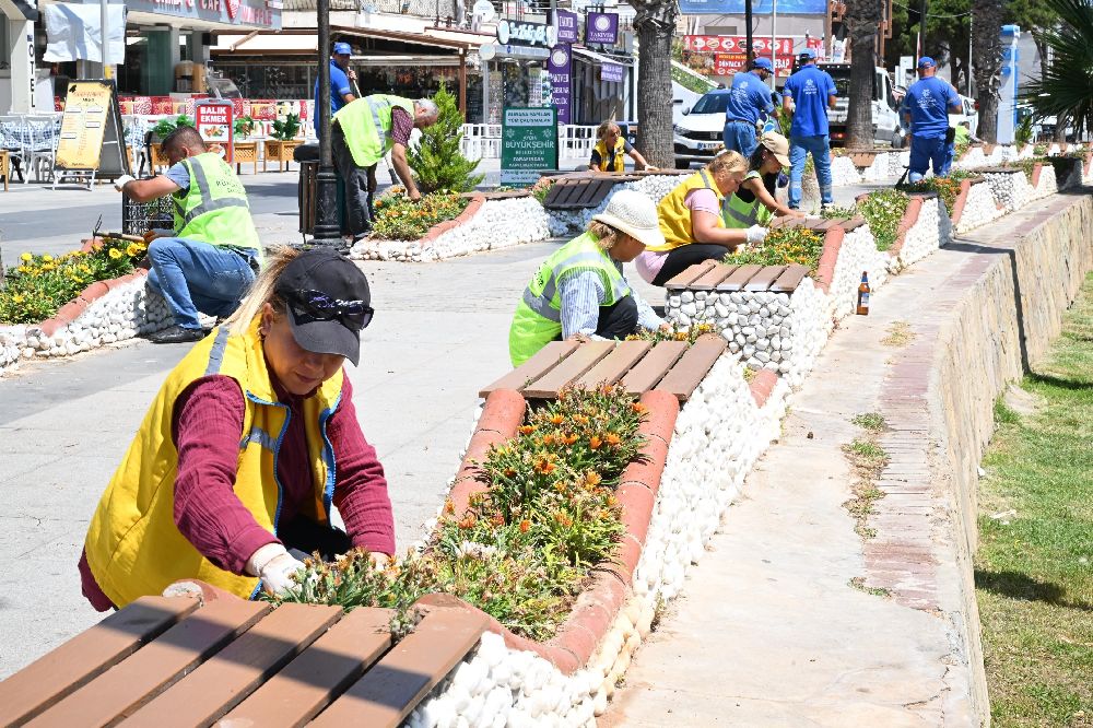 Aydın Büyükşehir’in Didim’de çalışmaları sürüyor