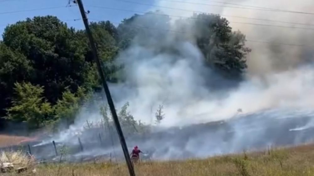 Bahçede çıkan yangın ormana sıçradı