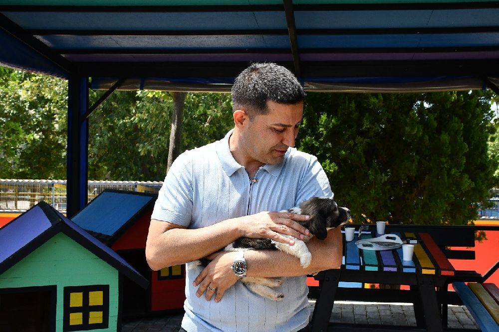 Başkan Günel'den can dostlar için yeni bir hizmet daha