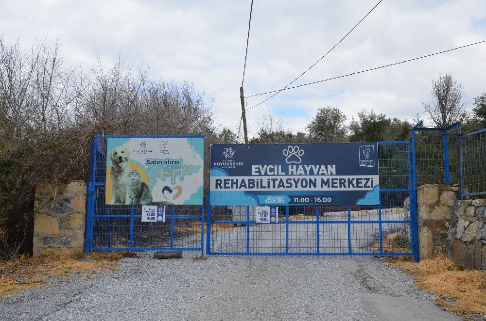 Başkan Günel'den can dostlar için yeni bir hizmet daha