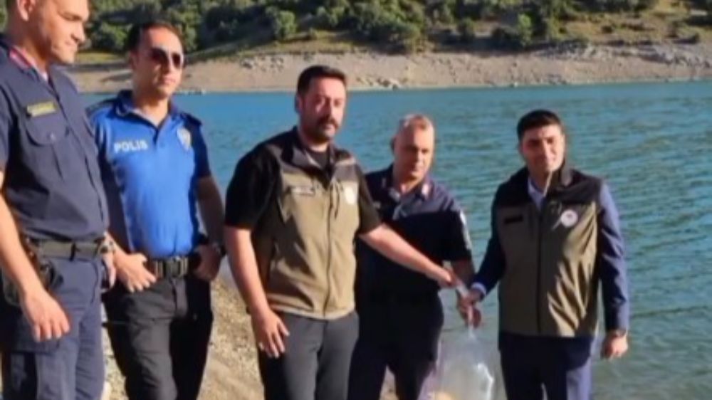 Bayat’daki gölet ve sulak alanlara 10 bin sazan balığı yavrusu bırakıldı
