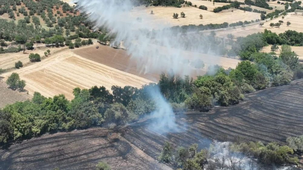 Bayramiç’te tarım arazisinde çıkan yangın kontrol altına alındı