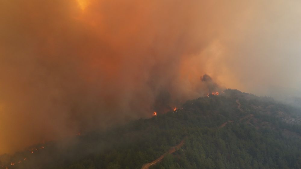 Bilecik yangını sürüyor