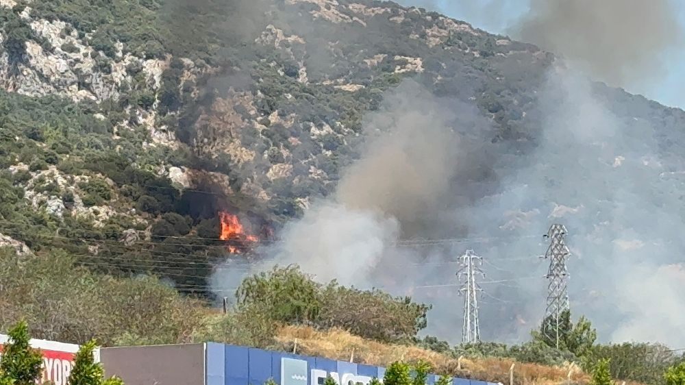 Bodrum'da makilik ve ormanlık alanda yangın çıktı