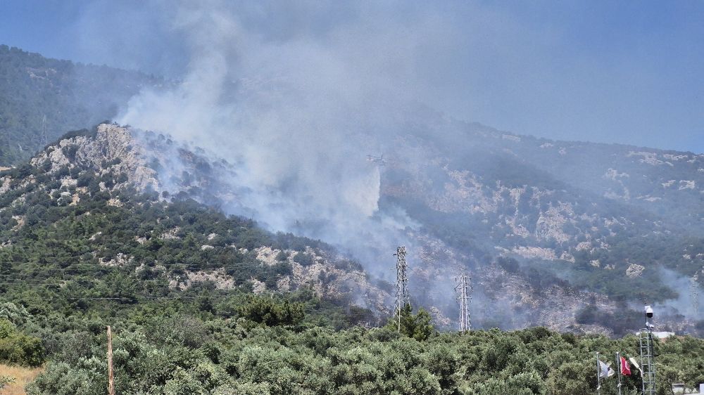  Bodrum'daki yangın kontrol altına alındı
