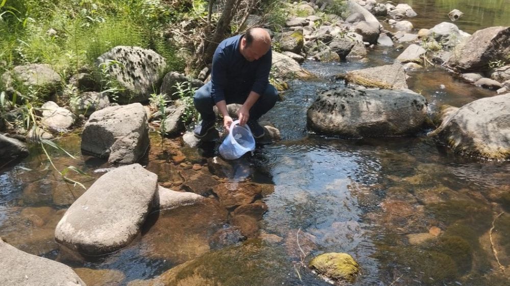 Bolu’da 12 bin kırmızı benekli alabalık yavrusu orman içi derelere bırakıldı