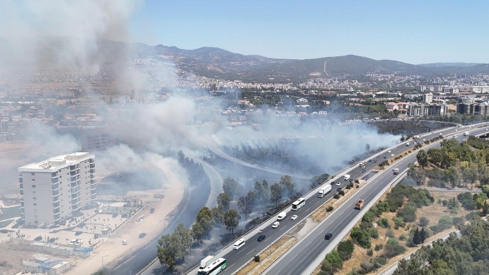 Bornova’da otluk alanda yangın